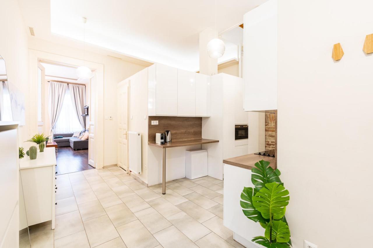Spacious Luxury Apartment At The Heart Of بودابست المظهر الخارجي الصورة
